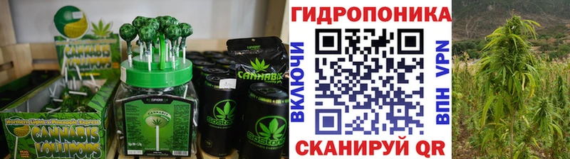 Canna-Cookies конопля  Купить закладки  Лениногорск 