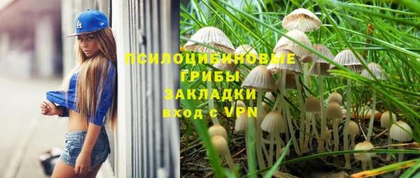 стаф Майский