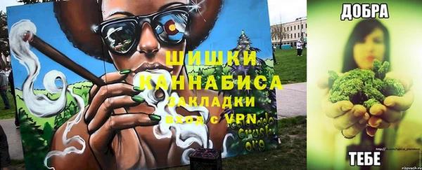 стаф Майский